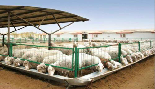 養殖場沼氣發電