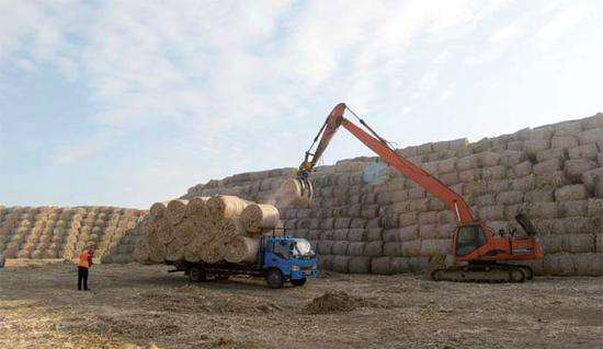 生物質沼氣發電機組氮氧化物治理 生物質沼氣發電機組氮氧化物治理