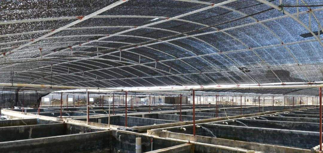 養殖場沼氣發電機組氮氧化物治理 養殖場沼氣發電機組氮氧化物治理