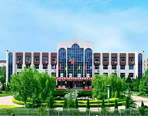 NOx治理丨某化肥廠沼氣發(fā)電機組尾氣脫硝治理項目