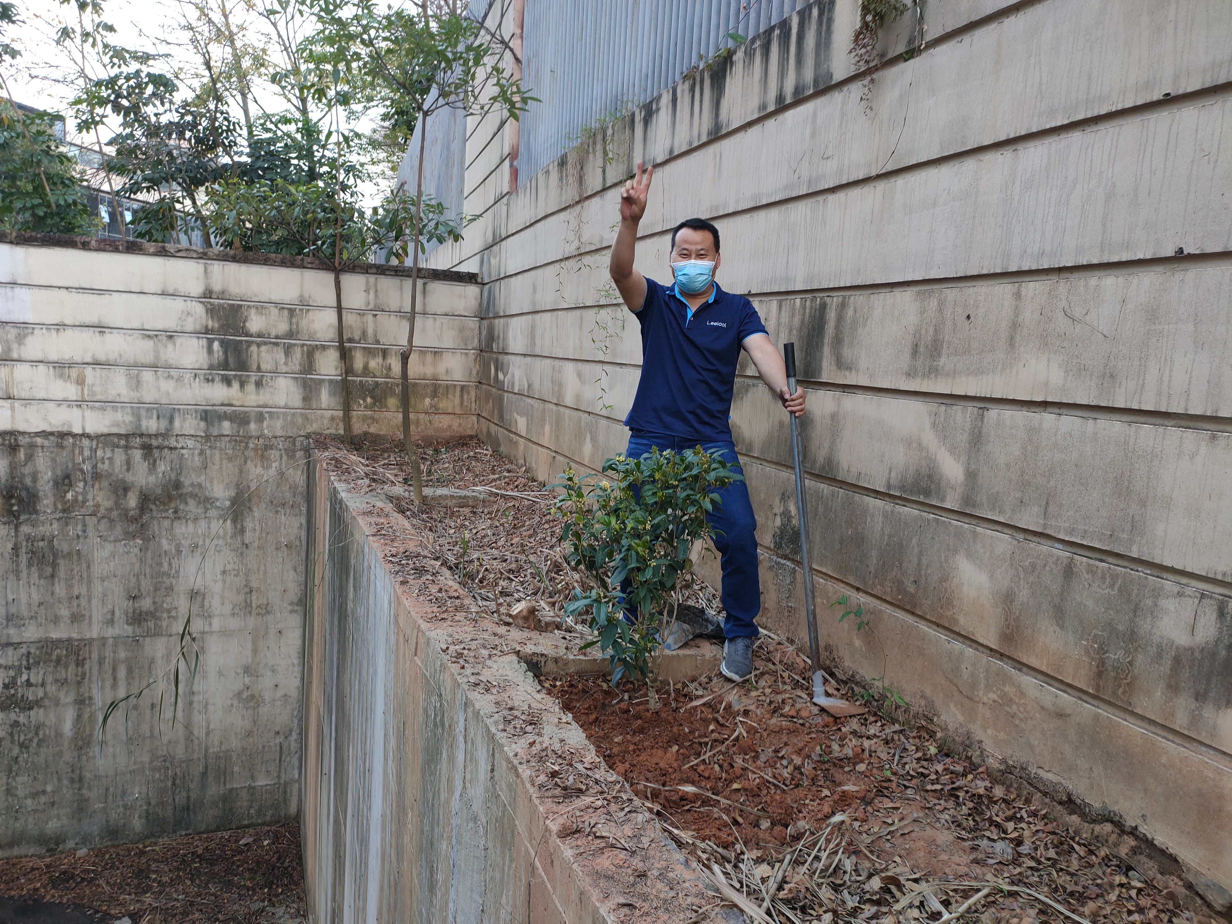 植樹現場 植樹現場