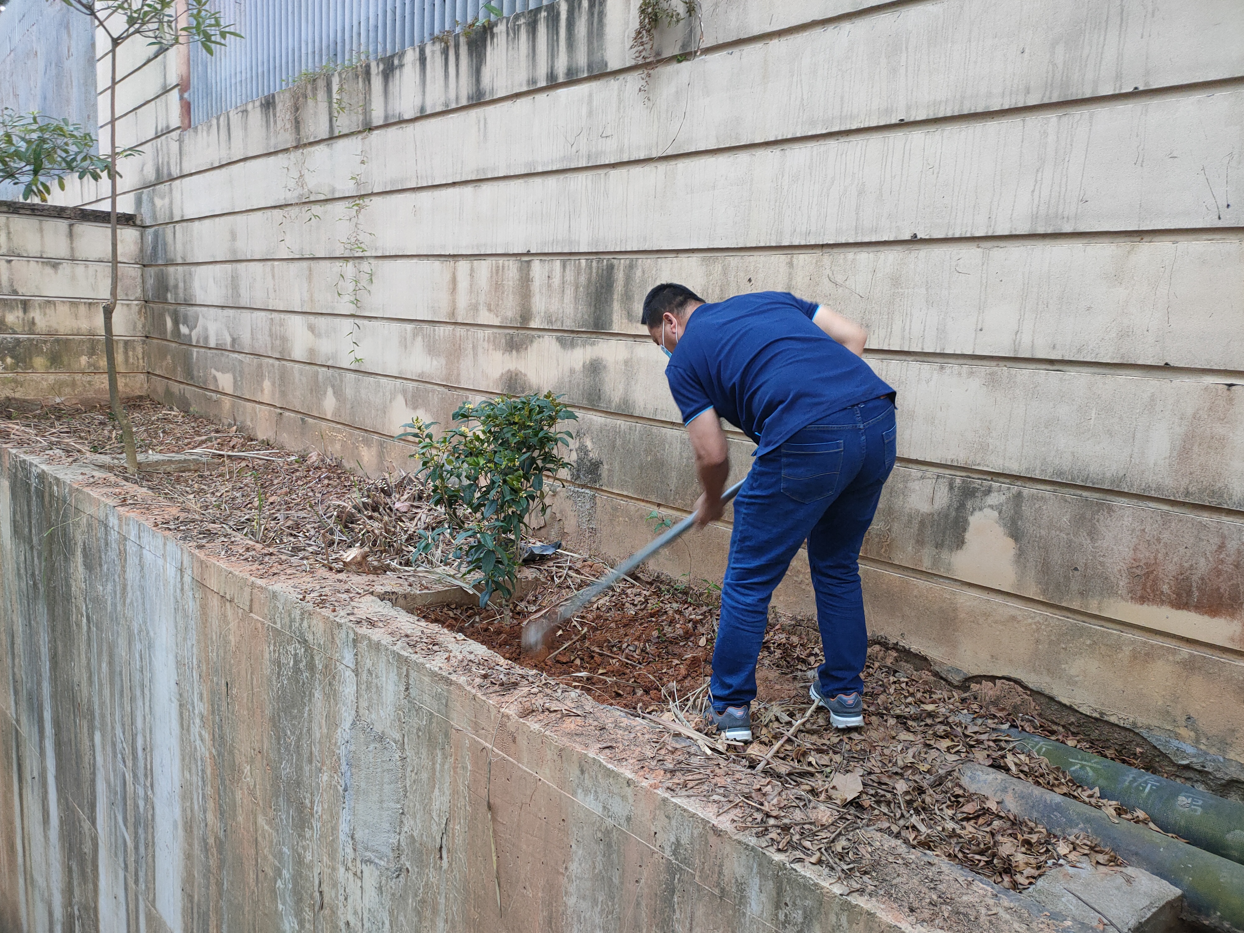 植樹現場 植樹現場
