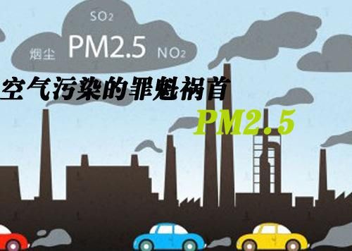 尾氣凈化器 尾氣凈化器