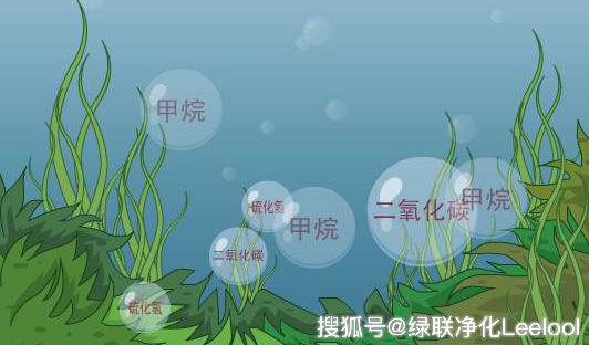 綠聯(lián)凈化 綠聯(lián)凈化